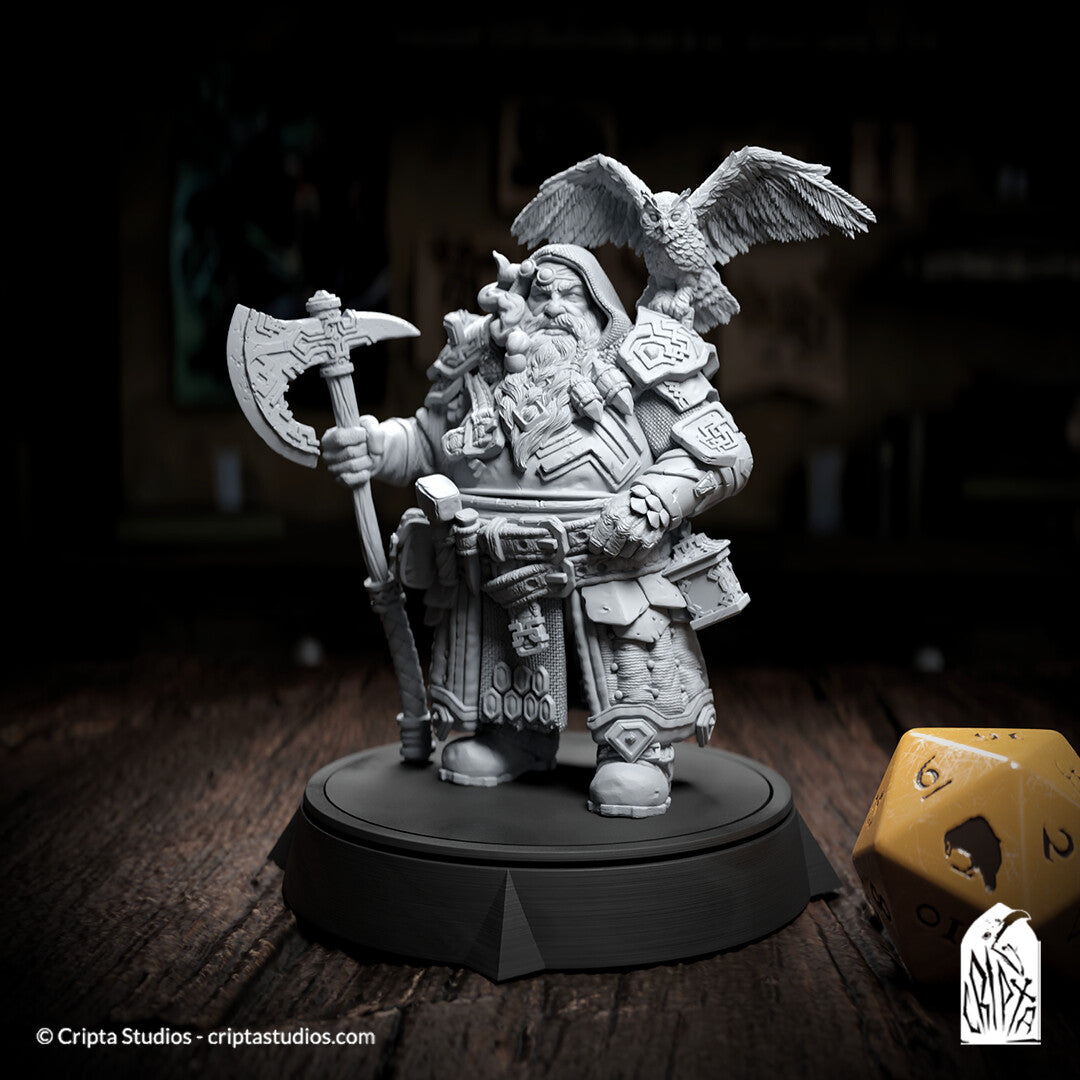 Andanor Trosdain the Hero 3D Printing Miniatures Resin Figure Board Game DND Role