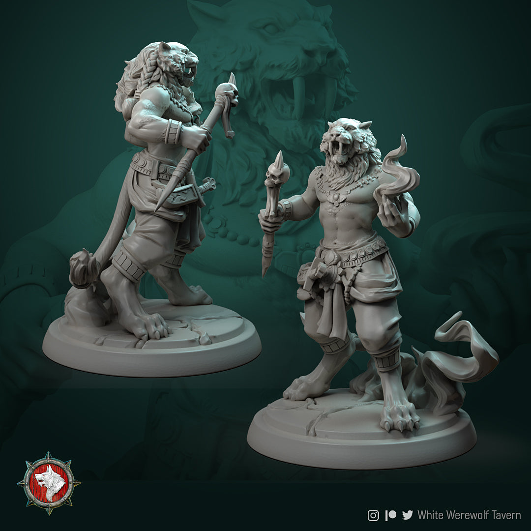 Tabaxi Leonin Mage DND Role 3D Printing Miniatures Resin Figure Board Game