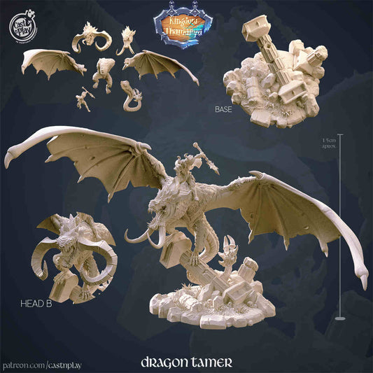 Dragon Tamer DND Role 3D Printing Miniatures Resin Figure Board Game