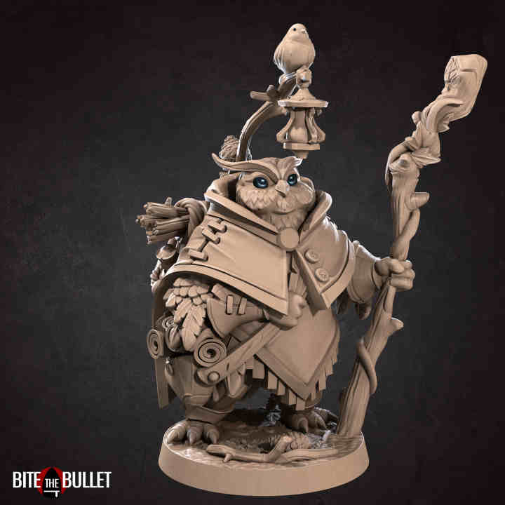 Uka the Forest Keeper Owlfolk DND Role 3D Printing Miniatures Resin Figure Board Game