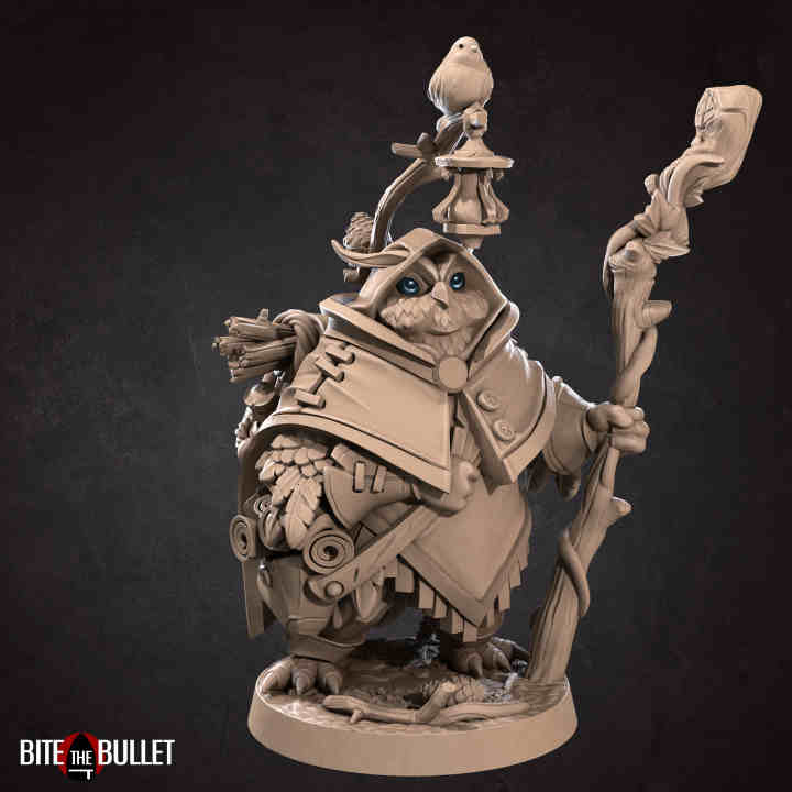 Uka the Forest Keeper Owlfolk DND Role 3D Printing Miniatures Resin Figure Board Game