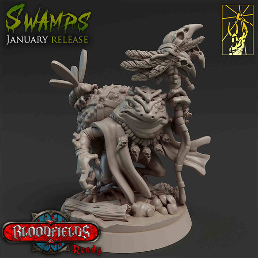 Quag The Mystic | DND Role 3D Printing Miniatures Resin Figure Board Game