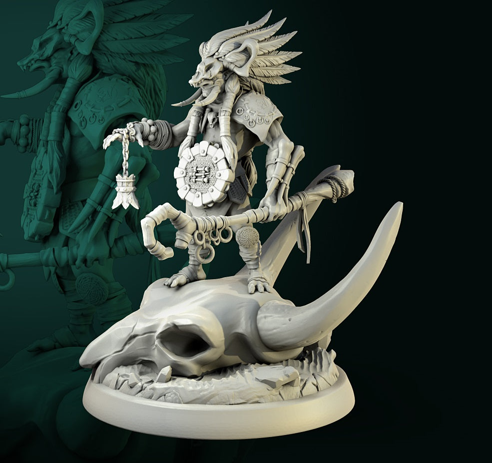 Mbonga the Hex Master DND Role 3D Printing Miniatures Resin Figure Board Game