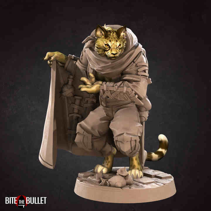 Cheat the Tabaxi Smuggler DND Role 3D Printing Miniatures Resin Figure Board Game