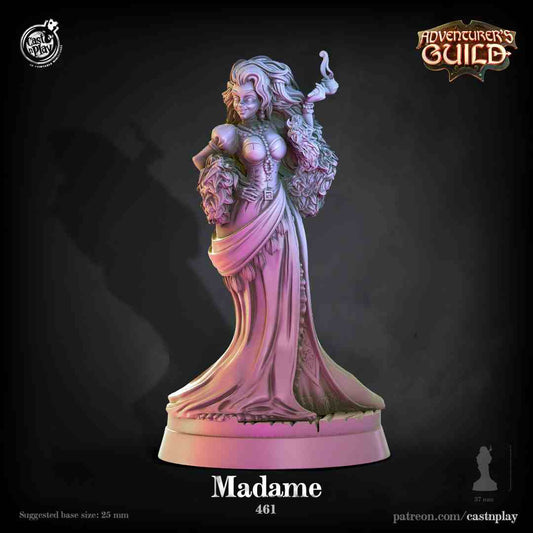 Madame DND Role 3D Printing Miniatures Resin Figure Board Game Chess